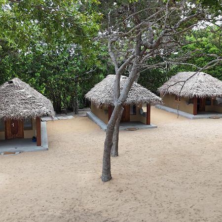 Peanut Farm Surf And Wild Resort - Arugambay Arugam Bay Εξωτερικό φωτογραφία