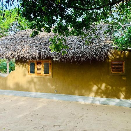 Peanut Farm Surf And Wild Resort - Arugambay Arugam Bay Εξωτερικό φωτογραφία