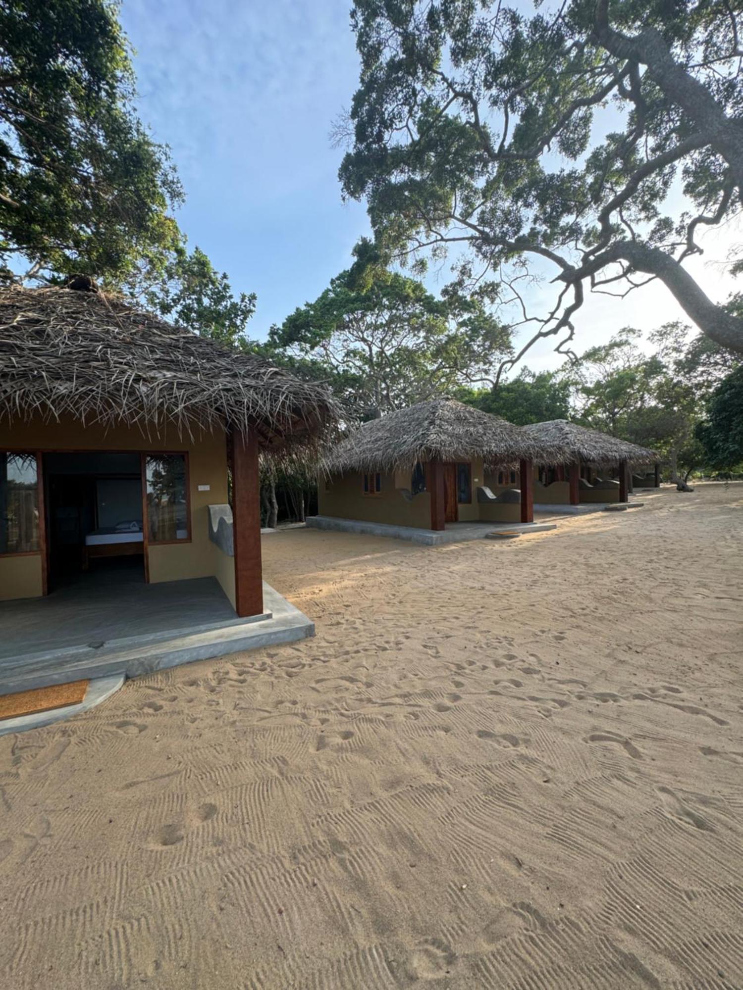 Peanut Farm Surf And Wild Resort - Arugambay Arugam Bay Εξωτερικό φωτογραφία